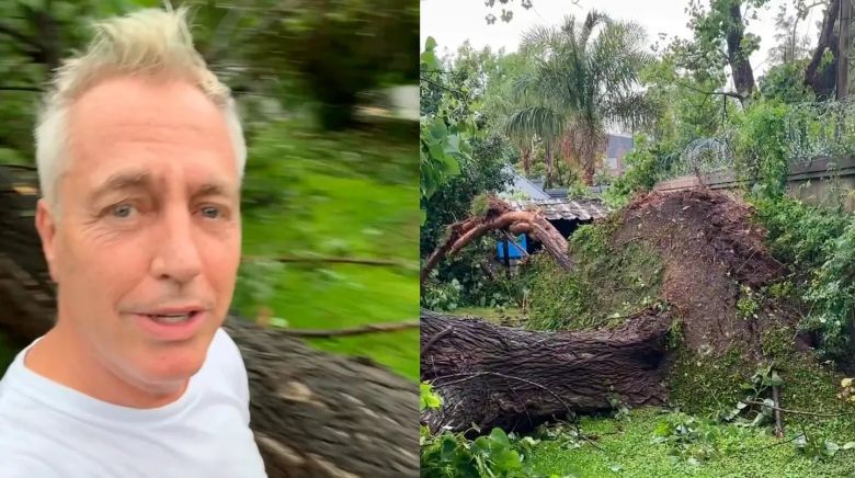 Así quedó la casa de Marley tras el fuerte temporal en Buenos Aires: “Se nos cayó el árbol entero encima” 