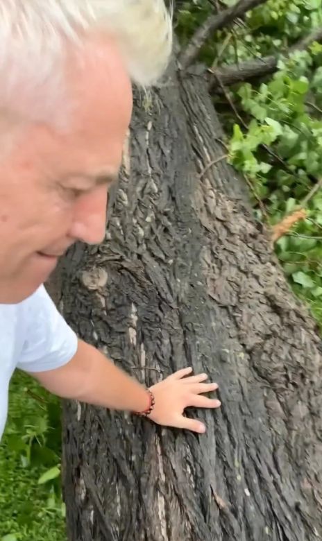 Así quedó la casa de Marley tras el fuerte temporal en Buenos Aires: “Se nos cayó el árbol entero encima” 