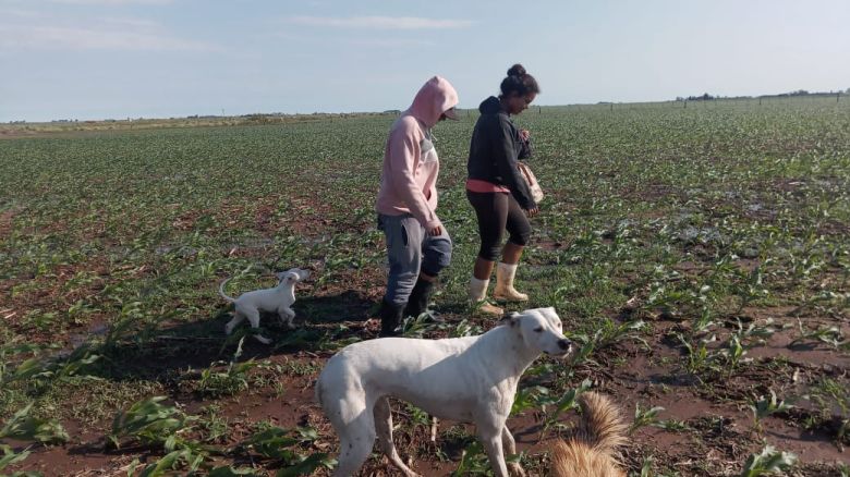 El Ejército Argentino llegó a Santa Flora a rescatar a las familias que quedaron varadas en los campos