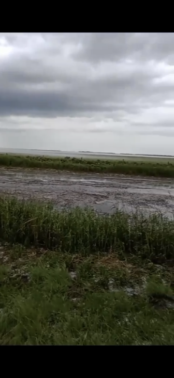 La tormenta de lluvia y viento provocó importantes daños en el sur de la provincia