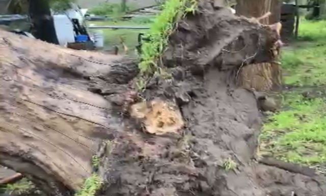 La tormenta de lluvia y viento provocó importantes daños en el sur de la provincia