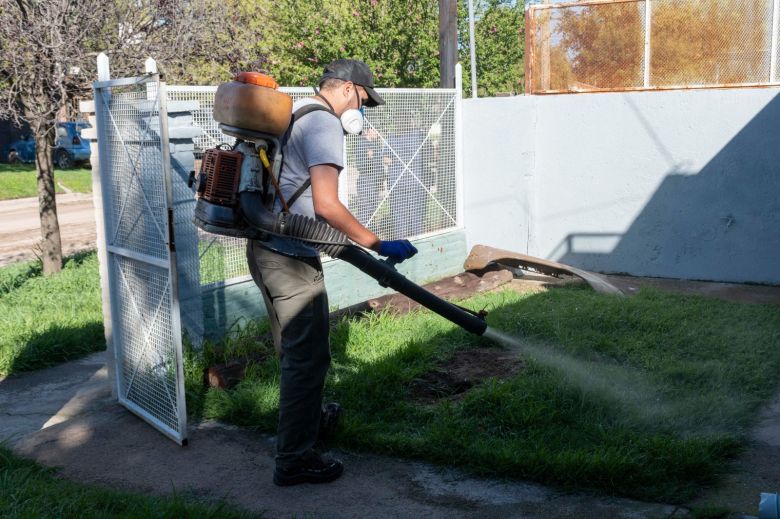 El Municipio refuerza las tareas de fumigación para disminuir la presencia de mosquitos 