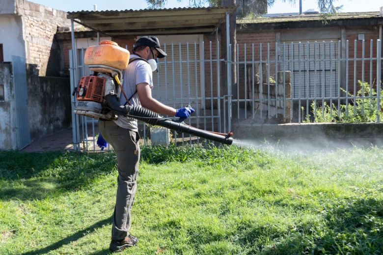 El Municipio refuerza las tareas de fumigación para disminuir la presencia de mosquitos 