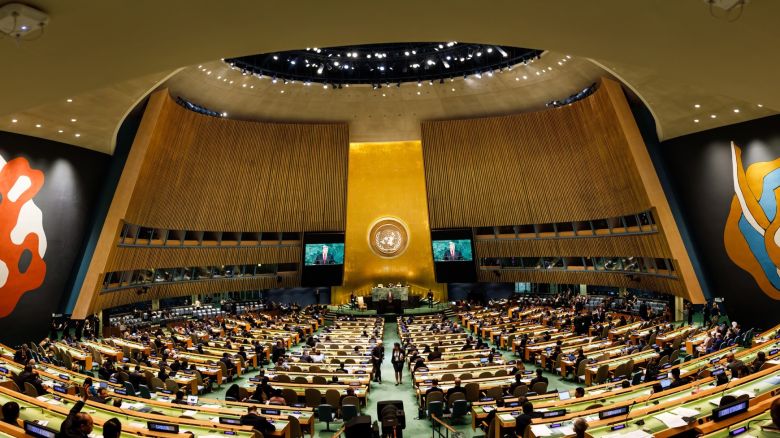 La ONU busca participar en el debate sobre la Ley Ómnibus