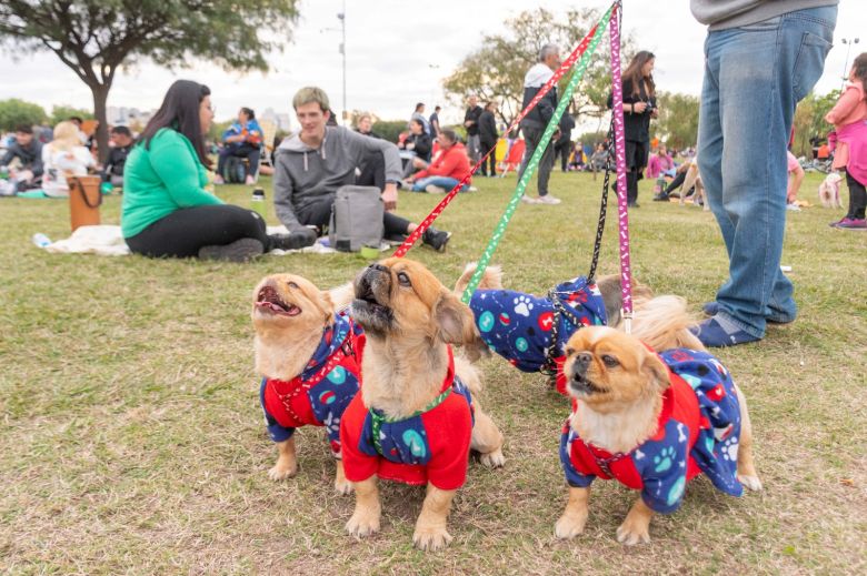 Feria de Adopciones y Vacunación Antirrábica en el Parque del Centro Cívico