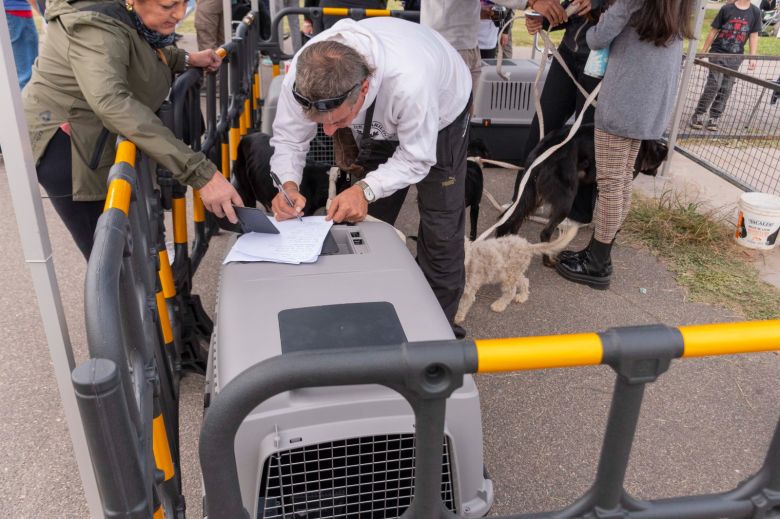 Feria de Adopciones y Vacunación Antirrábica en el Parque del Centro Cívico