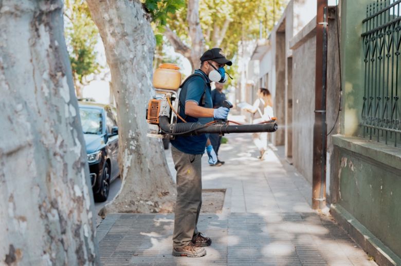 Mosquitos: sigue adelante la fumigación en distintos puntos de la ciudad