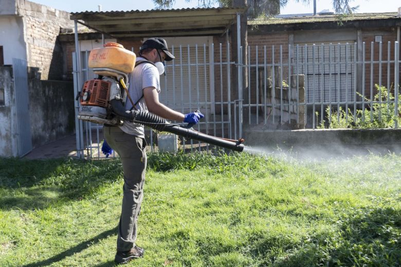 Mosquitos: sigue adelante la fumigación en distintos puntos de la ciudad