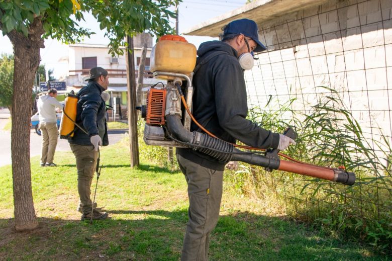 Mosquitos: sigue adelante la fumigación en distintos puntos de la ciudad