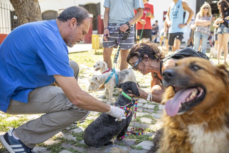 El Municipio colocó más de 5000 vacunas antirrábicas  y esterilizó a  3800 animales de compañía en lo que va del año