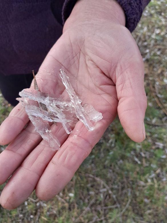 Río Cuarto amaneció con una helada y continúa el frío  