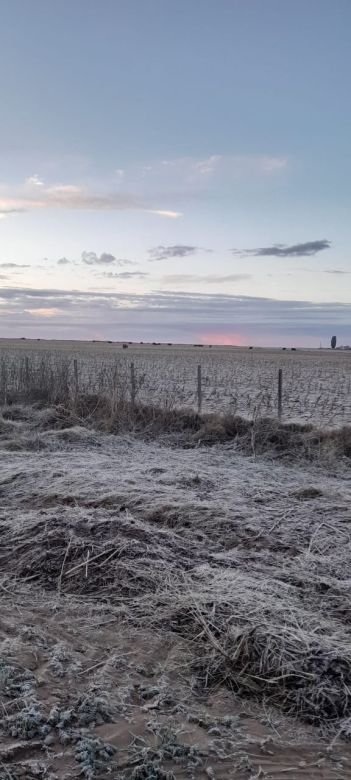 Río Cuarto amaneció con una helada y continúa el frío  