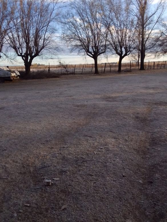 Río Cuarto amaneció con una helada y continúa el frío  