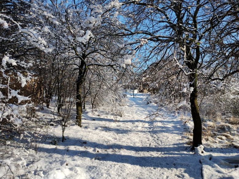 La nieve transformó las Sierras en un paisaje invernal único