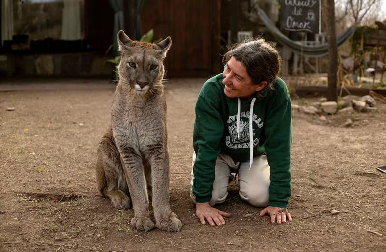 Estanislao y Kai: la conmovedora historia del puma ciego y la mujer que lo cuida