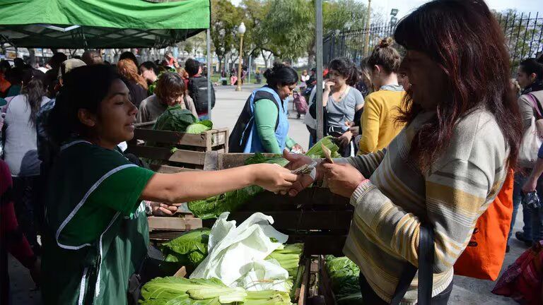 El Gobierno dio de baja a 62.000 beneficiarios del Monotributo Social: había fallecidos y personas con trabajo registrado