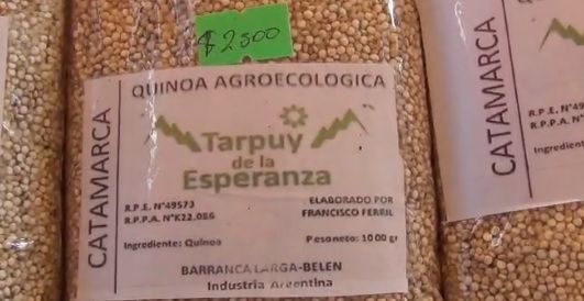 El Inta desarrolla una investigación para darle valor agregado a la Quinoa en la Puna de Catamarca