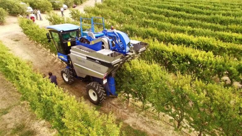  Investigación global revela la pérdida alarmante de organismos del suelo por prácticas agrícolas intensivas