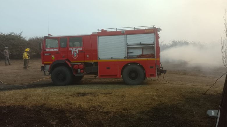 Reducción: incendio forestal alcanzó a la planta avícola de Avex y activó a varios cuarteles de bomberos de la región