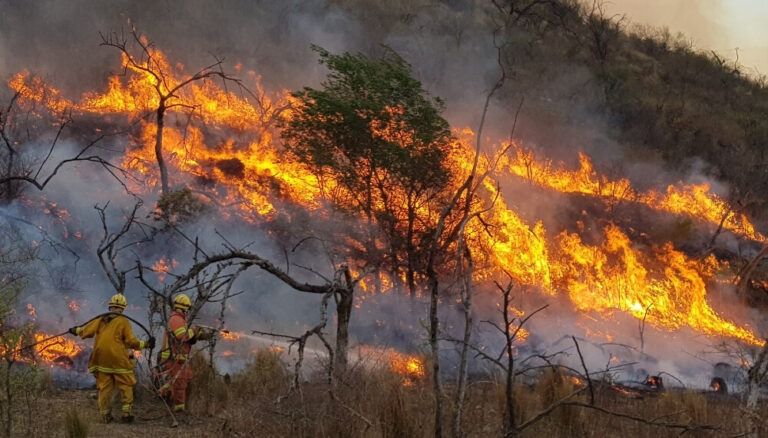 Presentan un proyecto de ley para declarar la emergencia nacional en Córdoba frente al avance de los incendios