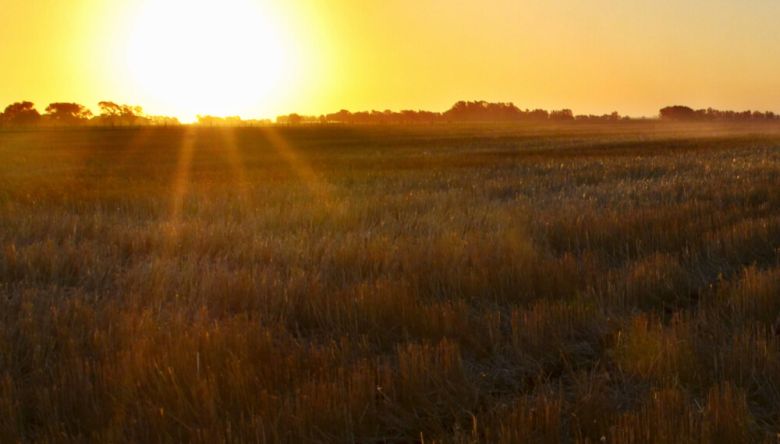 Año Niña: “no es tan mala noticia, tendremos lluvias erráticas, no homogéneas”