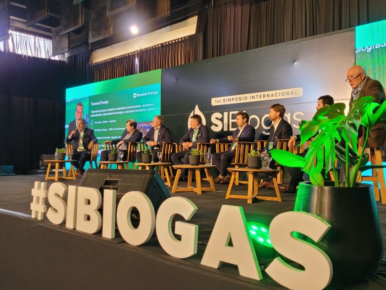 "Hay que sustituir industrias petroquímicas por biorefinerías”