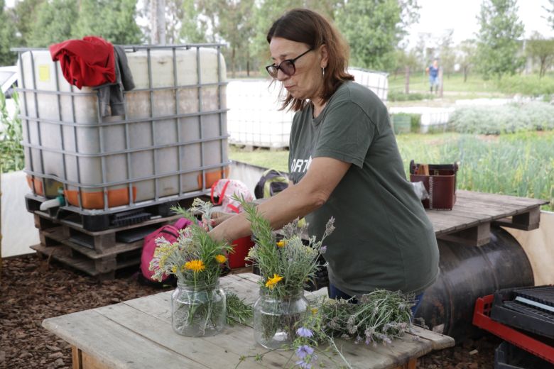 A través de la “Huerta en tú Hogar”, la Provincia reemplaza al Pro Huerta que el gobierno nacional eliminó