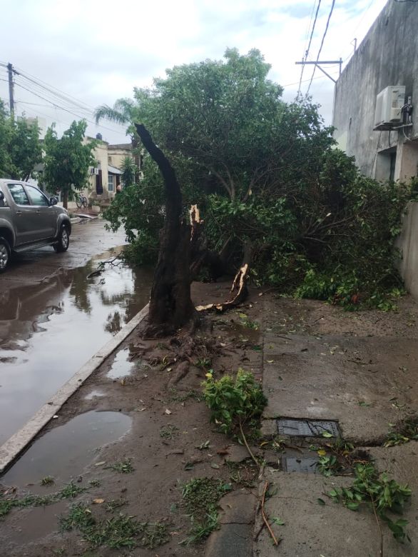 Temporal en Ordóñez: una tormenta con vientos intensos dañó viviendas y hubo evacuados