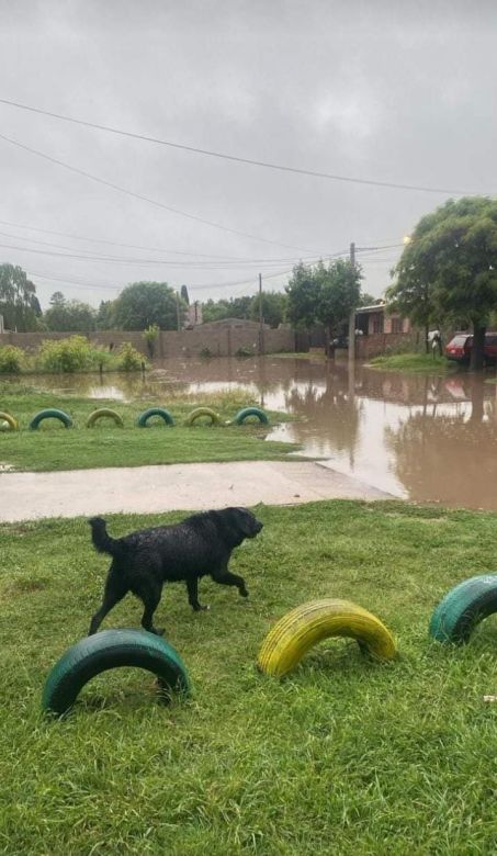 “Estamos abandonados por la Municipalidad”