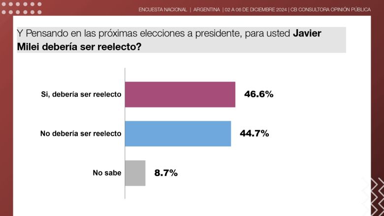 Milei llega a su primer año de gestión en su mejor momento con la opinión pública, en su imagen personal y su gestión