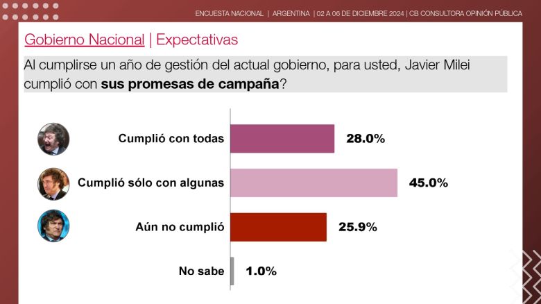 Milei llega a su primer año de gestión en su mejor momento con la opinión pública, en su imagen personal y su gestión