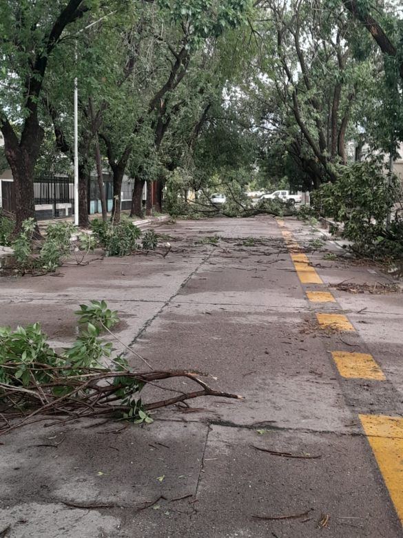 Voladuras de techos, daños en el arbolado, cortes de cables y anegamientos en Río Cuarto y localidades del sur de Córdoba