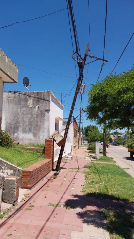 Árboles caídos, la peor consecuencia de la tormenta